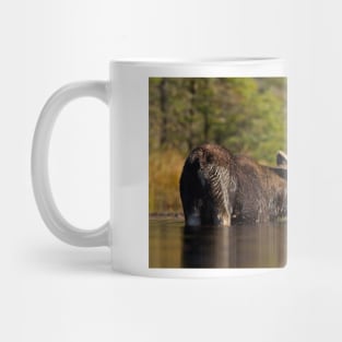 Swimming with Moose - Algonquin Park, Canada Mug